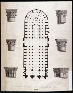 Plano y capiteles de la catedral Notre Dame en París. Siglo XIX de Unknown artist