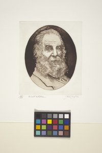 Retrato de Walt Whitman (tinta, grabado) de Unknown artist
