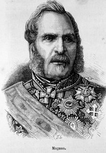 Retrato de Bernard Pierre Magnan (1791-1865), Mariscal de Francia