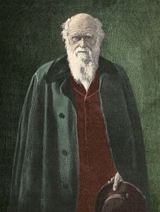 Retrato de Charles Darwin (1809 - 1882)