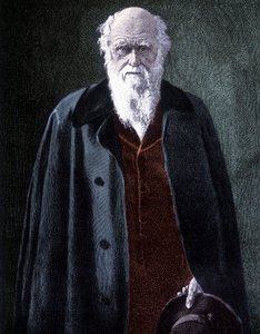 Retrato de Charles Darwin, naturalista británico (1809 - 1882)