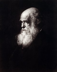 Retrato de Charles Robert Darwin (1809 - 1882) de Unknown artist