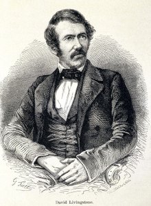 Retrato de David Livingstone, misionero escocés (1813-1873) de Unknown artist