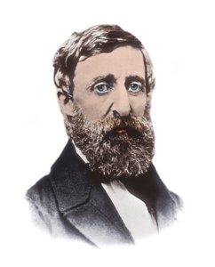 Retrato de Henry David Thoreau (1817-1862) - ensayista, poeta, filósofo, abolicionista, naturalista, resistente fiscal, crítico del desarrollo, topógrafo e historiador estadounidense