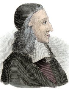 Retrato de Johan de Witt (Jean de Witt) (1625-1672), político, economista y matemático neerlandés