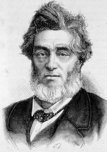 Retrato de Jules Favre (1809 -1880), político francés de Unknown artist