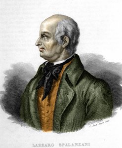 Retrato de Lazzaro Spalanzani (o Spallanzani), biólogo italiano (1729 - 1799) de Unknown artist