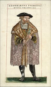 Retrato de Leonhart Fuchs: Botánico - médico alemán (1501 - 1566) - en “De Historia Stirpium commentarii badges,...” de Leonhart Fuchs de Unknown artist