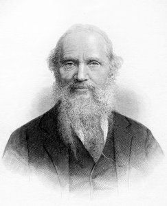 Retrato de Lord Kelvin (William Thomson) de Unknown artist