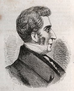 Retrato de Louis Charles Bonaventure Pierre, Conde de Mesnard 1769-1842 - grabado de Unknown artist