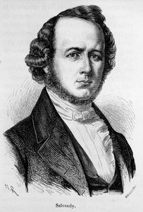 Retrato de Narcisse Achille, Conde de Salvandy, político francés (1795 - 1856).