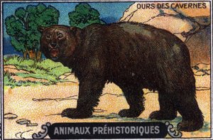 Animal prehistórico: un oso de las cavernas. de Unknown Artist