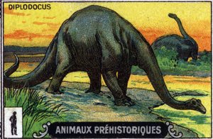 Animal prehistórico: un dinosaurio diplodocus (cromo)