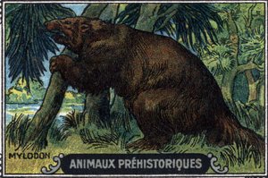 Animal prehistórico: un milodón. de Unknown Artist