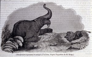 Prehistoria: representación de un Dinotherium, tipo de paquidermo, repeliendo el ataque de un león. Grabado del siglo XIX de Unknown artist