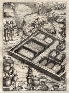 Producción de sal por evaporación de agua de mar en salinas. De 