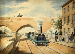 Ciervo rojo, c.1850 (acuarela sobre papel) de Unknown artist