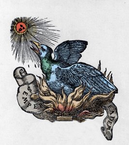 Representación de un Fénix, ave legendaria que renace de sus cenizas. Grabado del siglo XIX