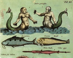 Representación de una sirena y un tritón, una criatura marina fantástica descrita en un atlas de zoología. (detalle) Siglo XVII