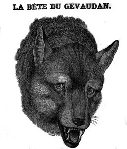 Representación de la Bestia de Gévaudan de Unknown artist