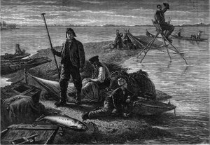 Regreso de la pesca de salmón en las orillas del Rin. Grabado en el diario "La juventud" de Unknown artist