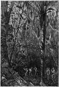 Desarrollo vial en Centroamérica: La perforación de la carretera nicaragüense a través de un bosque virgen (deforestación). Dibujo del teniente Olivier, miembro de la expedición del capitán Bedford Pim (1826-1886). Grabado en "The Illustrious Universe"