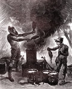 Preparación o vulcanización del caucho en la selva brasileña de Unknown artist