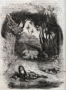 Ruggiero en la isla de Alcina - grabado de 1851 del poema Orlando furioso (1516) por Ludovico Ariosto - Edición traducida del italiano por el Conde de Tressan y publicada por Gustave Harvard 1851 de Unknown artist