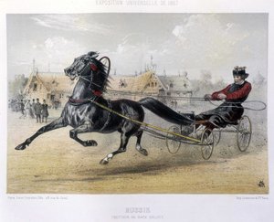 Rusia: troteador de raza Orloff - en “El Centauro” 1867
