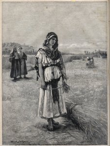 Rut trabajando en el campo de Booz (Rut y Booz) - grabado del cuadro de Druch-hajos de Unknown artist