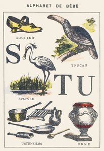 S T U: zapato, espátula, tucán, utensilios, urna de Unknown artist