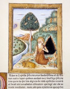 San Jerónimo - miniatura de Unknown artist