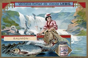 Pesca de salmón - cromo del siglo XIX. de Unknown artist
