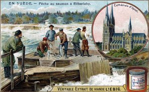 Pesca de salmón en Elfkarleby, Suecia de Unknown artist