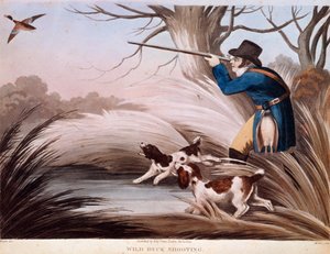 Escena de caza de patos en Inglaterra de Unknown artist