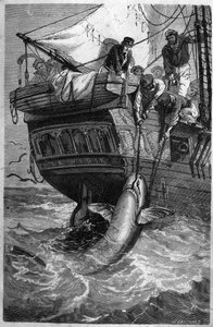 Pesca de tiburones. (Pesca allo squalo) grabado del siglo XIX. Colección privada de Unknown artist