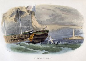 Pesca de tiburones - en "Historia natural de Lacepède" de Unknown artist