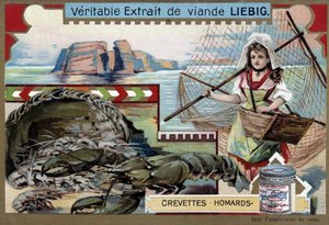 Camarones y langosta, con una joven pescadora, llevando su cesta y una gran red - cromolitografía de Liebig