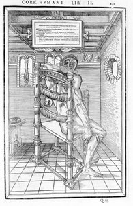 Corte de cráneo. Tabla anatómica de “De dissectione partium corporis humani lbri tres...” Carlo Stefano Riverio, París 1545 de Unknown artist