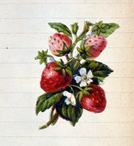 Fresas. Cromolitografía del siglo XIX. de Unknown artist