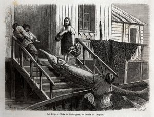 Pesca de esturión en la desembocadura del río Volga. Grabado para ilustrar el viaje por el Volga por M. Moynet, en 1864, en “Le tour du monde, nouveau journal des voyages” publicado bajo la dirección de Edouard Charton