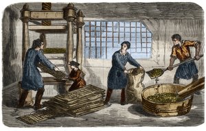 Fabricación de azúcar: extracción de jugo de pulpa de remolacha. La pulpa se mete en bolsas que se apilan bajo la bandeja de una prensa hidráulica. Grabado de 1859 en 