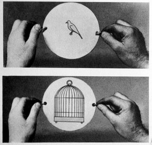 Taumatropo: en 1825 John Ayrton Paris comercializó su disco mágico el taumatropo (rueda milagrosa), en una cara se dibuja una jaula vacía, en la otra un pájaro, el disco se sujeta con una cuerda. Al girarlo tenemos la ilusión de que el pájaro está en la ja de Unknown artist