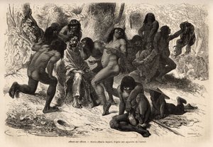 Los indios Chunchos asaltaron el equipo de Marcoy, en el valle de Caravaya (cordillera de los Andes), pero estos no tenían nada que robar, los indios se divirtieron desnudando a los exploradores y maquillándolos con semillas de rocoto. Grabado para ilustra