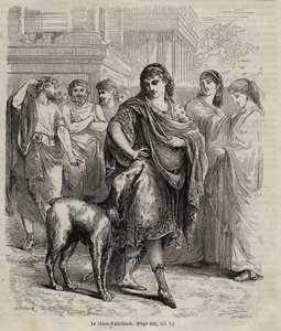 El perro de Alcibíades - El perro de Alcibíades, estadista, orador y general ateniense, 450-404 a.C. grabado de 1864 de Unknown artist