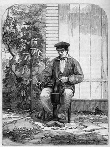 El embotellado del vino de Champagne. Grabado de 1864