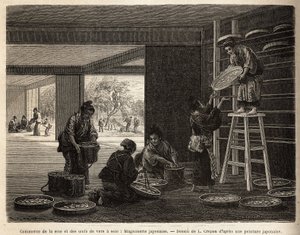 La cría y el comercio de capullos de gusanos de seda: una magnanería para la sericicultura, con el cultivo de moreras al fondo, indispensable para alimentar a los bombyx. Grabado para ilustrar el viaje a Japón, por Aime Humbert, ministro de la Confederació de Unknown artist