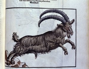 El capricornio según Historiae animalium de Konrad Gesner, Tiguri