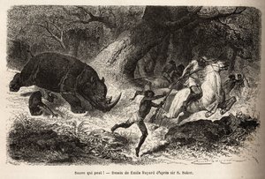 La carga del rinoceronte que vuelca y atrapa a los cazadores, durante la búsqueda del autor y sus guías. Grabado para ilustrar la exploración de los tributarios abisinios del Nilo, por Sir Samuel W. Baker, en 1861-62, publicado en 