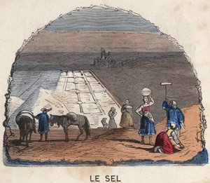 La recolección de sal. Ilustración del siglo XIX. Colección Bianchetti de Unknown artist